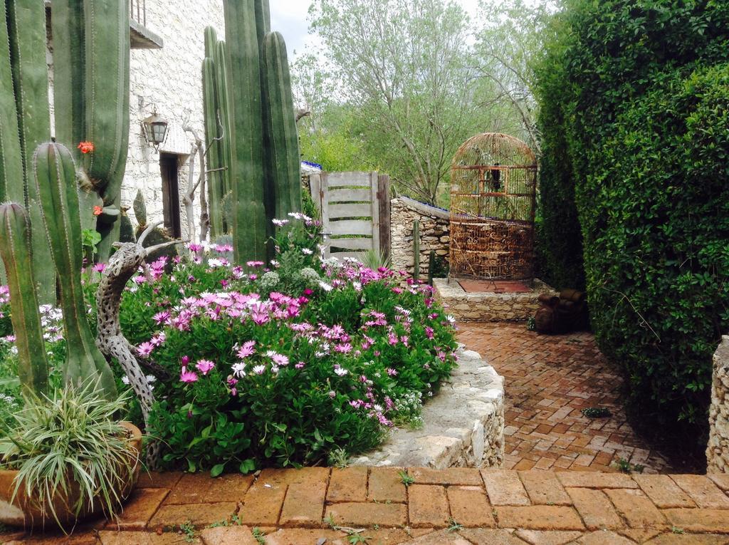 Hotel Secreto Pozos  エクステリア 写真